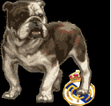 forza barca